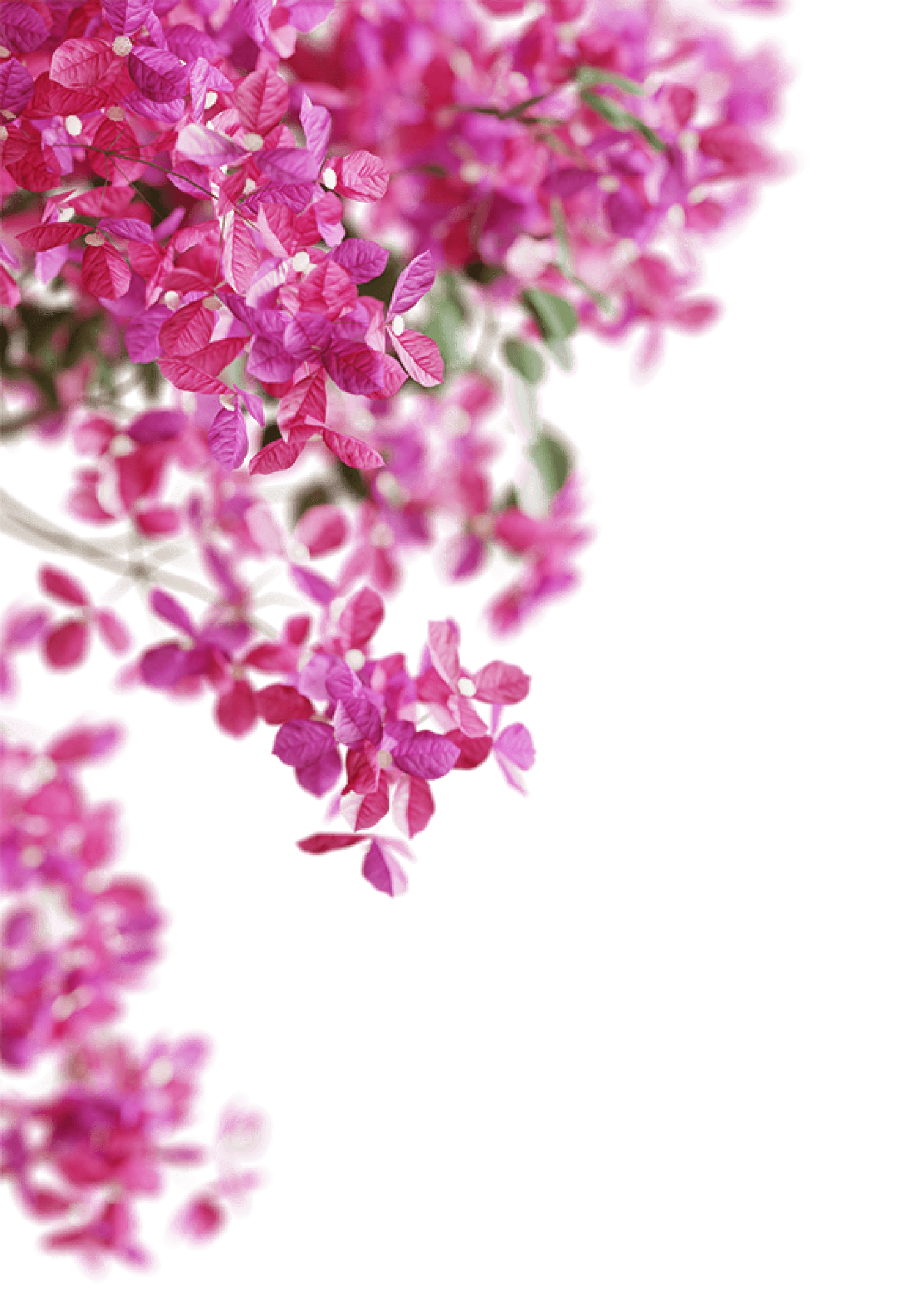 Floral display